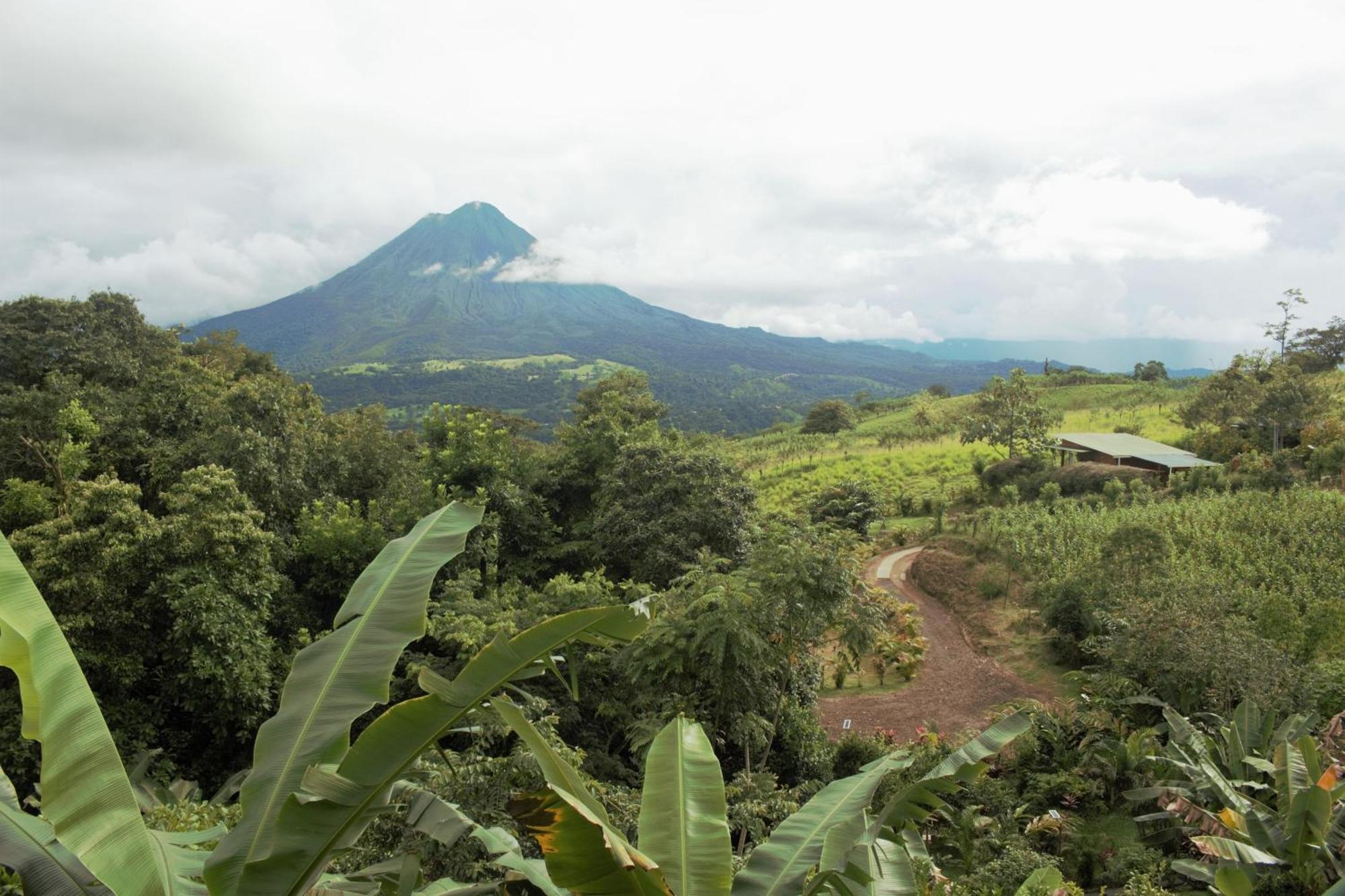 Casa Torre Eco- Lodge La Fortuna Esterno foto